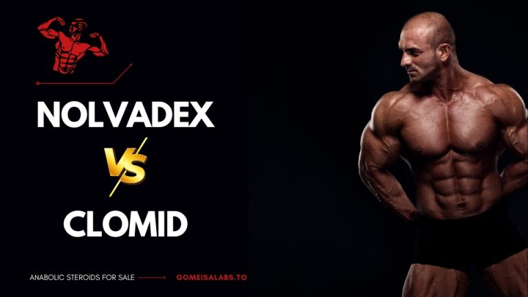 Nolvadex vs Clomid: PCT Battle, Which is the Best SERM?