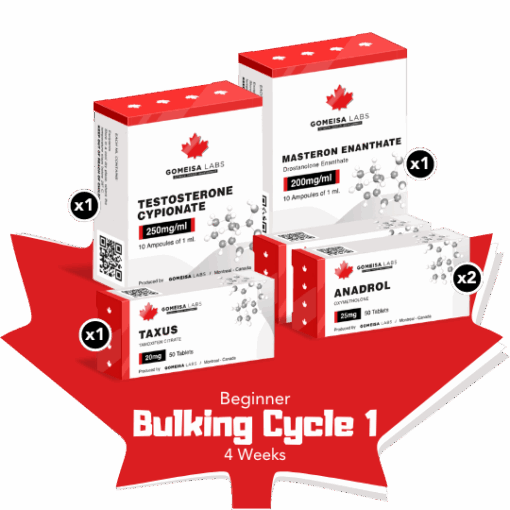 Beginner Bulking Cycle 1 (4 Weeks)