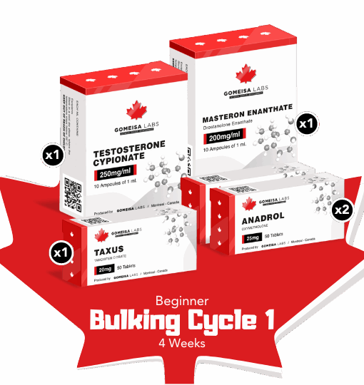 Beginner Bulking Cycle 1 (4 Weeks)