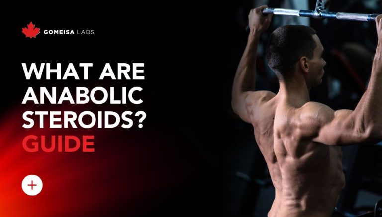 What are anabolic steroids? Guide